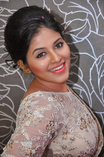 Tamil Actress Anjali New Pics In Saree 5